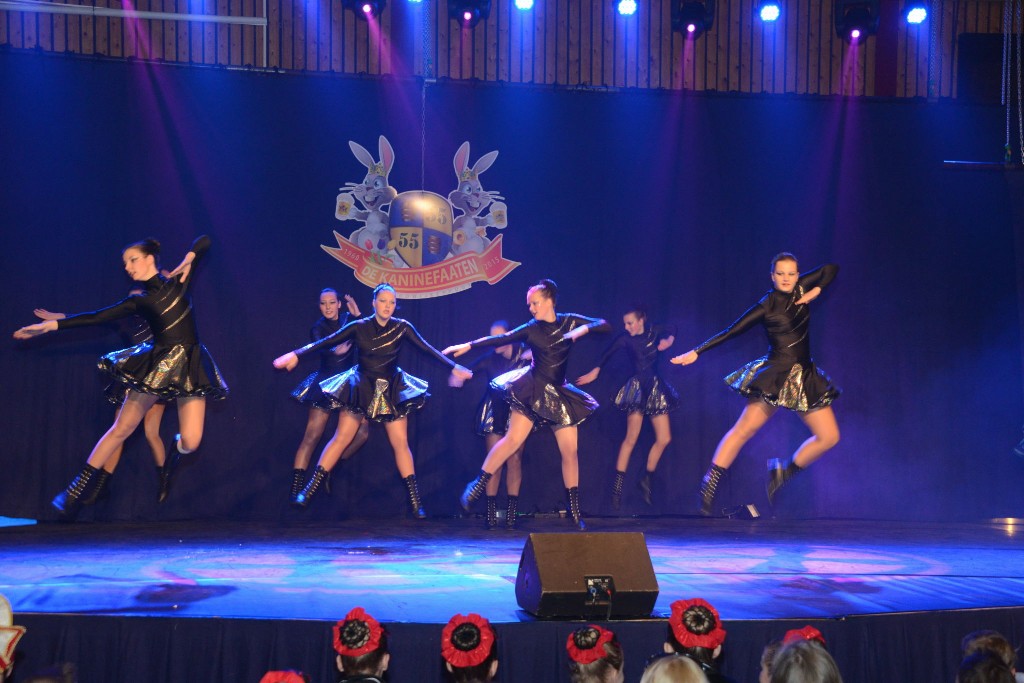 ../Images/Dansmarieke festival 2015 225.jpg
